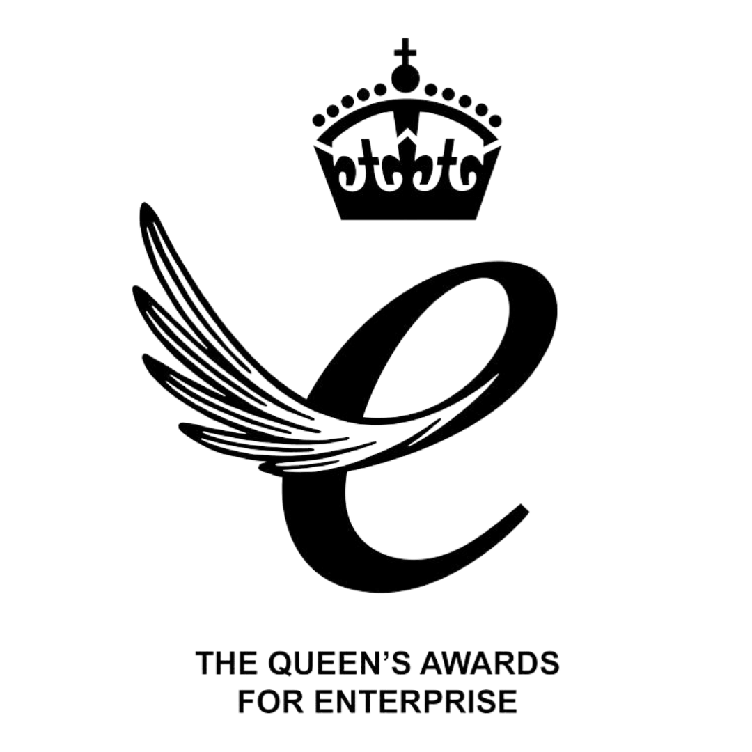 10 InPerson & Online Gender Reveal Ideas for Twins & Snuz