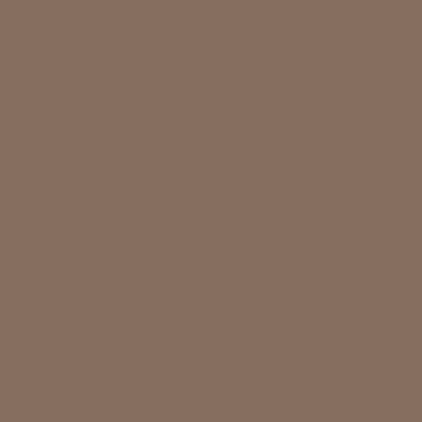 chocolate swatch